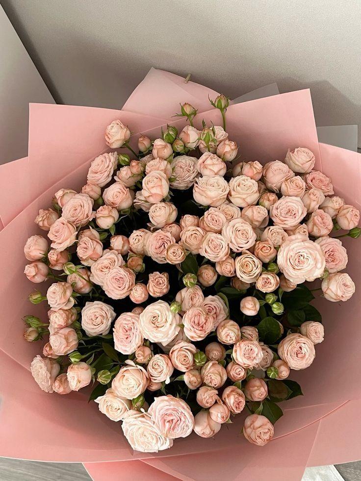 Secret Garden: Enchanted Flora Mix